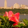 Hudson River View in Summer